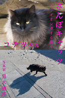 さんぽキャッツ　コテツさん　～ライオンガール編～