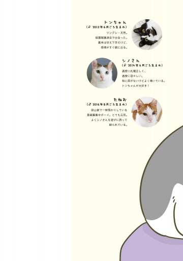 うちの猫がまた変なことしてる ５ 最新刊 漫画 無料試し読みなら 電子書籍ストア ブックライブ