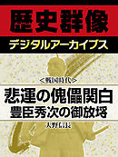 ＜戦国時代＞悲運の傀儡関白　豊臣秀次の御放埓