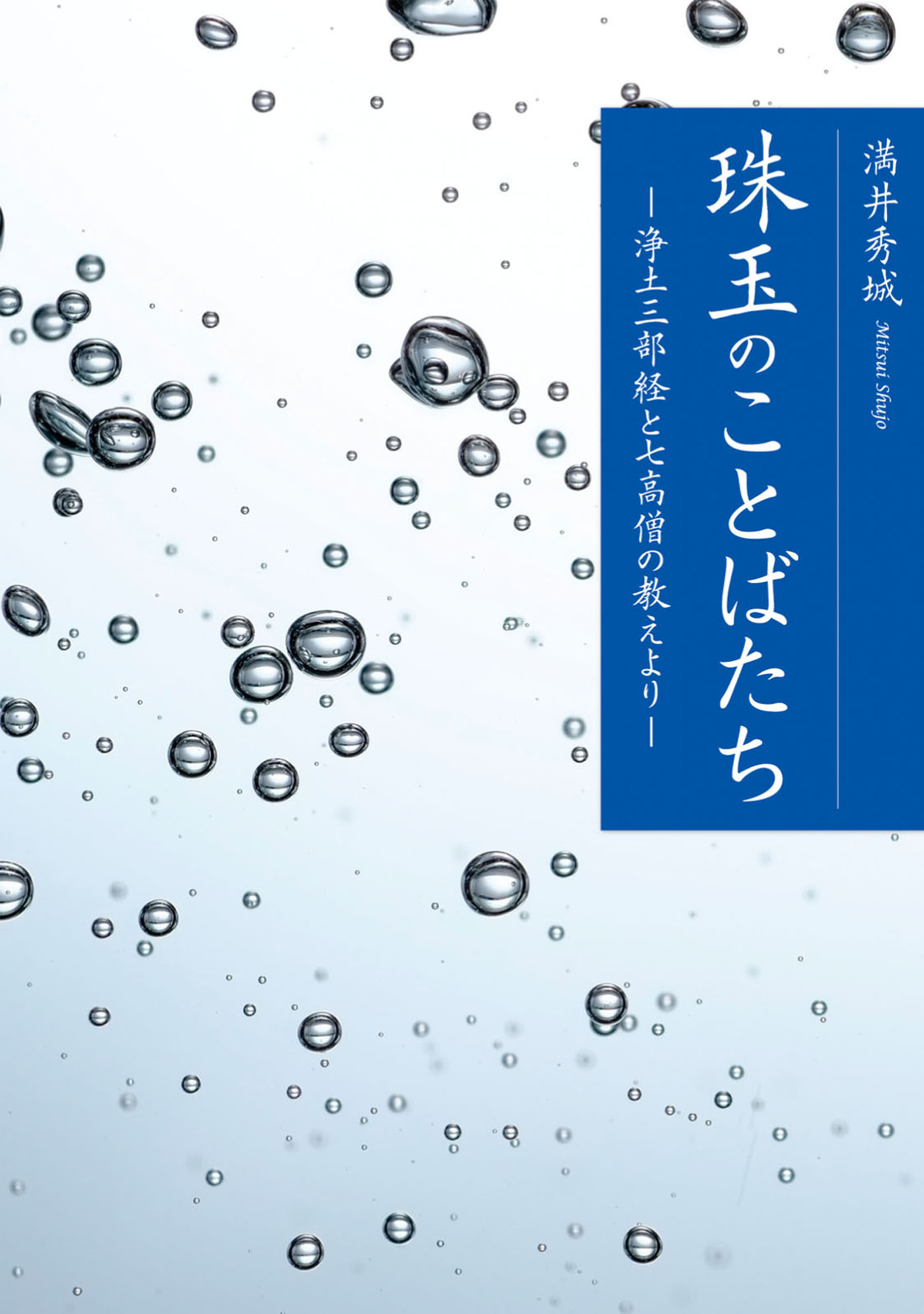 珠玉のことばたち 浄土三部経と七高僧の教えより 漫画 無料試し読みなら 電子書籍ストア ブックライブ