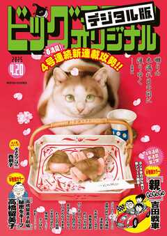 ビッグコミックオリジナル 2025年8号（2025年4月4日発売)