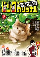 ビッグコミックオリジナル 2025年11号（2025年5月20日発売)