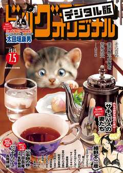 ビッグコミックオリジナル 2025年13号（2025年6月20日発売)