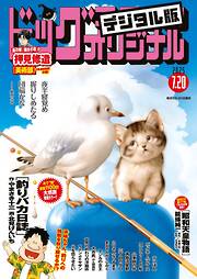 ビッグコミックオリジナル