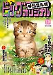 ビッグコミックオリジナル 2026年6号（2026年3月5日発売)