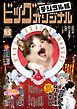 ビッグコミックオリジナル 2026年17号（2026年8月20日発売)