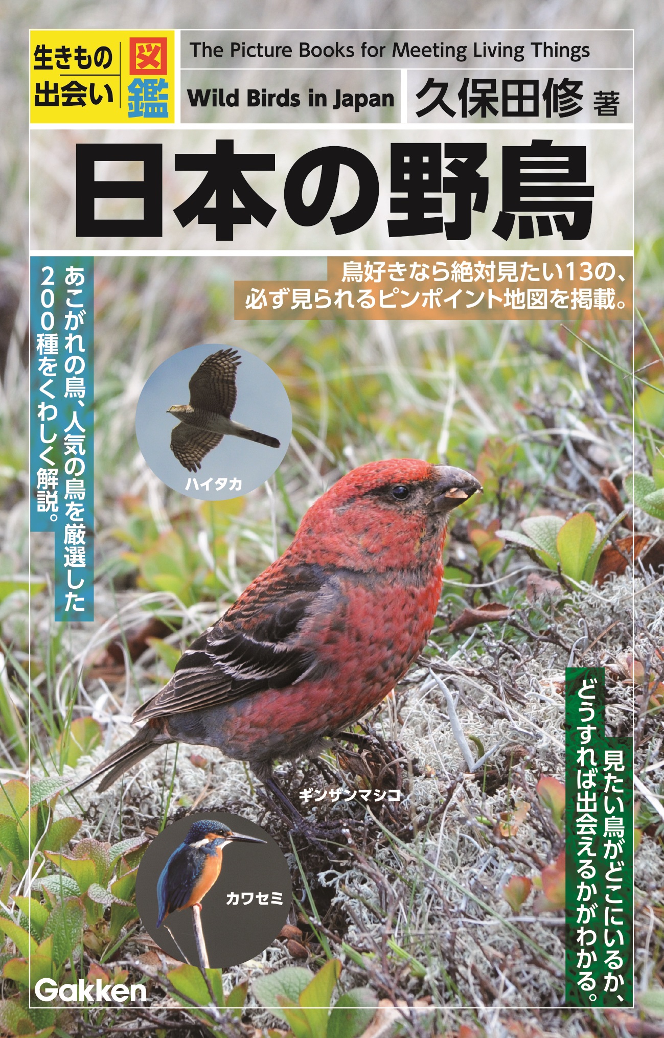 日本の野鳥 久保田修 漫画 無料試し読みなら 電子書籍ストア ブックライブ