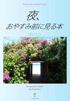 夜、おやすみ前に見る本