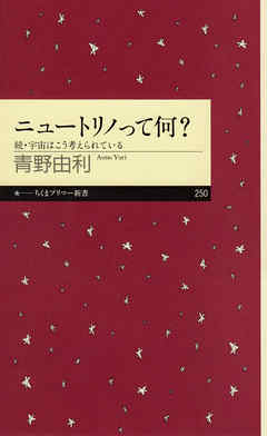 ニュートリノって何？　──続・宇宙はこう考えられている