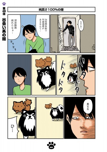 鴻池剛の崖っぷちルームシェア 犬と無職とバンドマン 3 最新刊 鴻池剛 漫画 無料試し読みなら 電子書籍ストア ブックライブ 鴻池剛の崖っぷちルームシェア 犬と無職とバンドマン 3 最新刊 鴻池剛 漫画 無料試し読みなら 電子書籍ストア ブックライブ