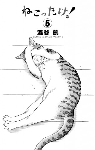 ねこったけ 5 漫画 無料試し読みなら 電子書籍ストア ブックライブ ねこったけ 5 漫画 無料試し読みなら 電子書籍ストア ブックライブ