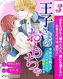 er-王子さまのおもちゃ　専属玩具職人は恋われ乱され溺愛される［３］