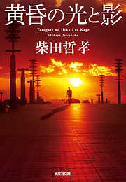 黄昏の光と影