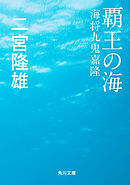 覇王の海　海将九鬼嘉隆