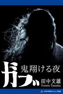 ガブ　鬼翔ける夜