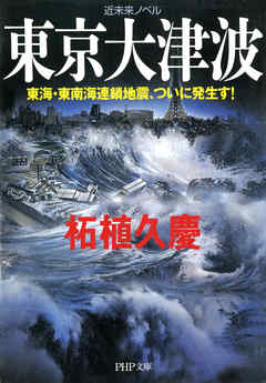 近未来ノベル 東京大津波　東海・東南海連鎖地震、ついに発生す！