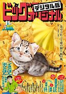 ビッグコミックオリジナル増刊 2025年11月増刊号（2025年10月10日発売）