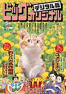 ビッグコミックオリジナル増刊 2026年5月増刊号（2026年4月11日発売）