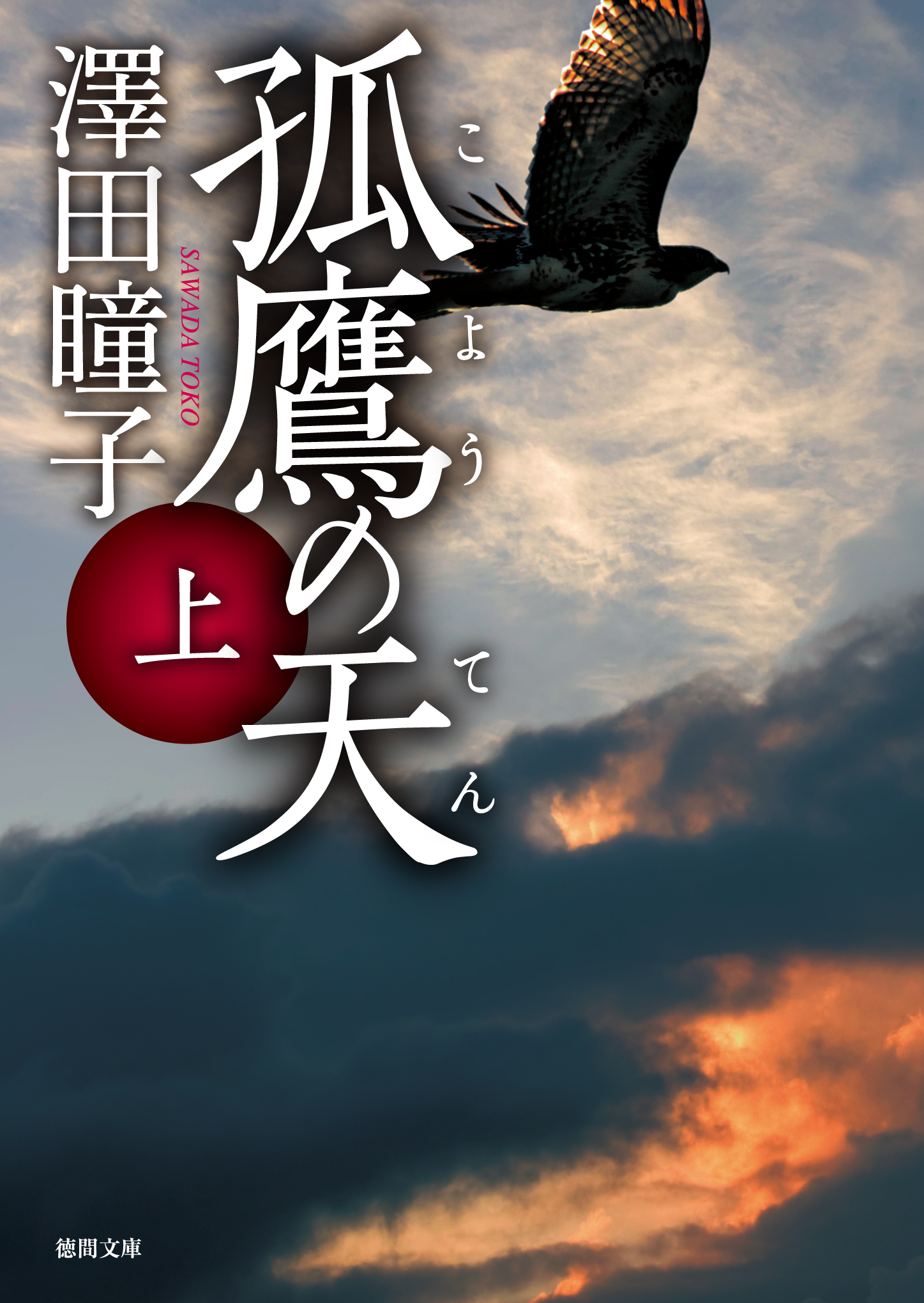 孤鷹（こよう）の天 上 - 澤田瞳子 - 小説・無料試し読みなら、電子 