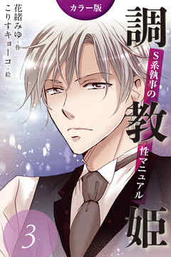 [カラー版]調教姫～S系執事の性マニュアル　〈ヒワイな形のジェラシー〉3巻