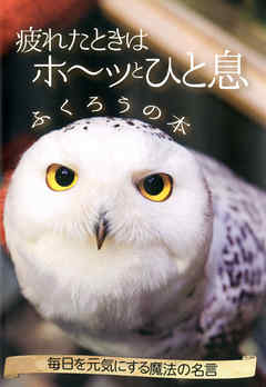 疲れたときはホ～ッとひと息 ふくろうの本