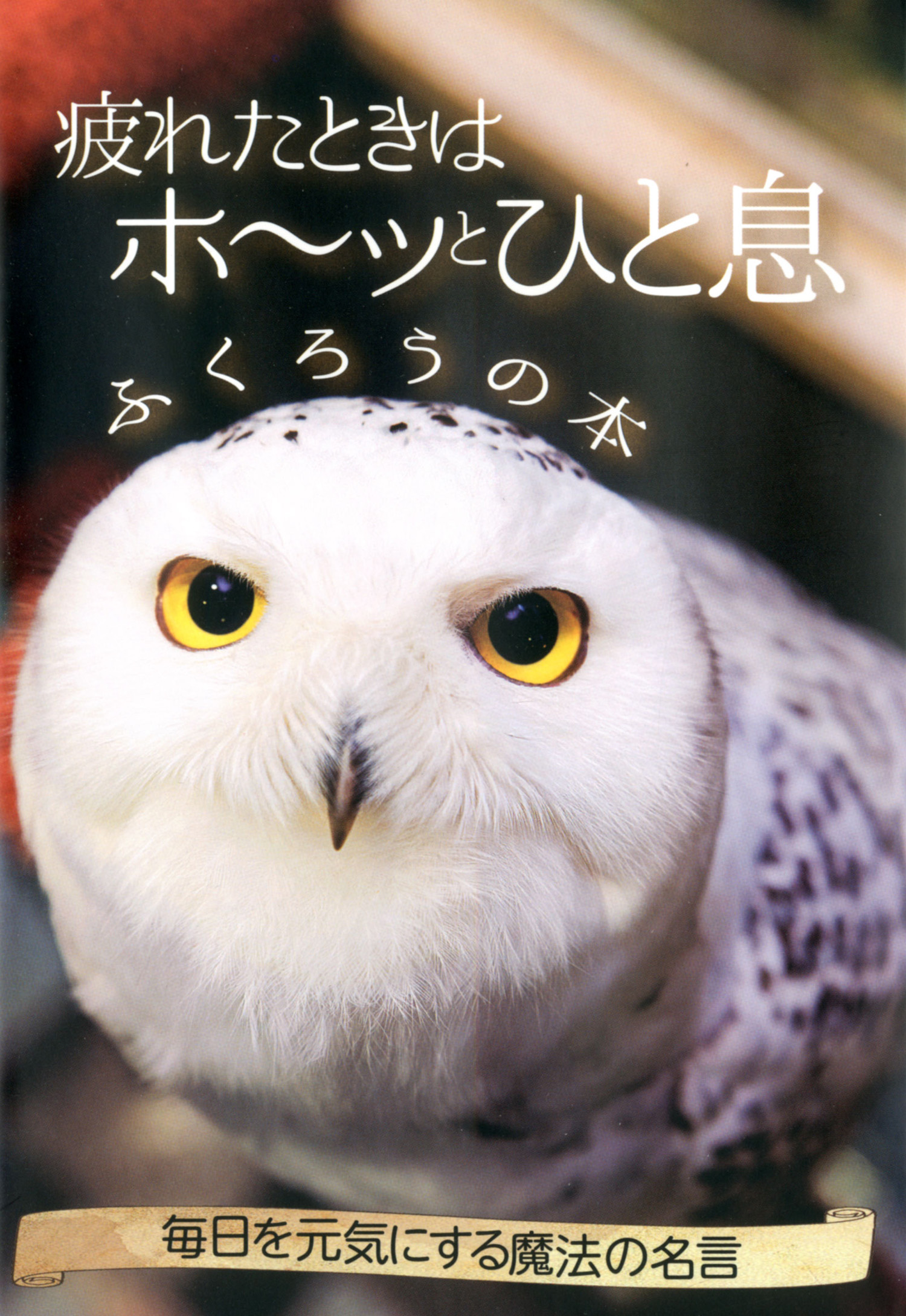 疲れたときはホ ッとひと息 ふくろうの本 株式会社パブリカ 漫画 無料試し読みなら 電子書籍ストア ブックライブ