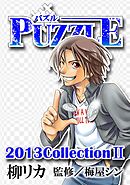 PUZZLE 2013collectionII