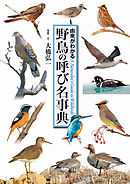 野鳥の呼び名事典 由来がわかる