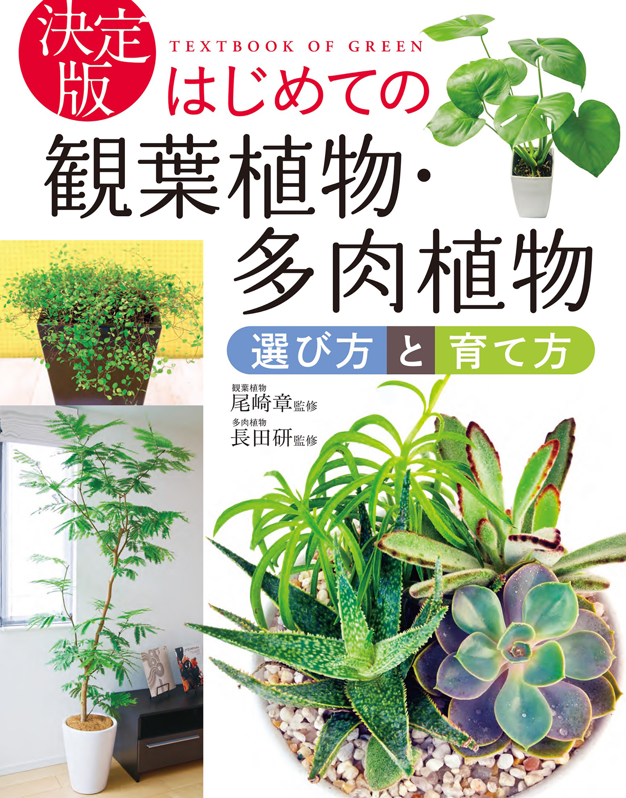 決定版 はじめての観葉植物 多肉植物 選び方と育て方 漫画 無料試し読みなら 電子書籍ストア ブックライブ