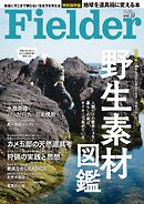 Fielder vol.32