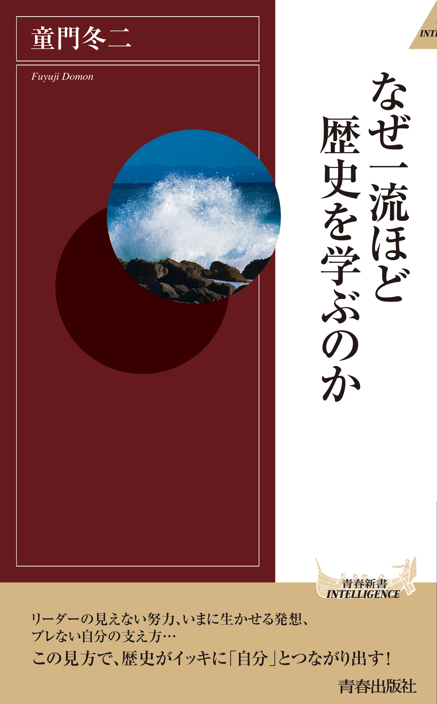 なぜ一流ほど歴史を学ぶのか | ブックライブ