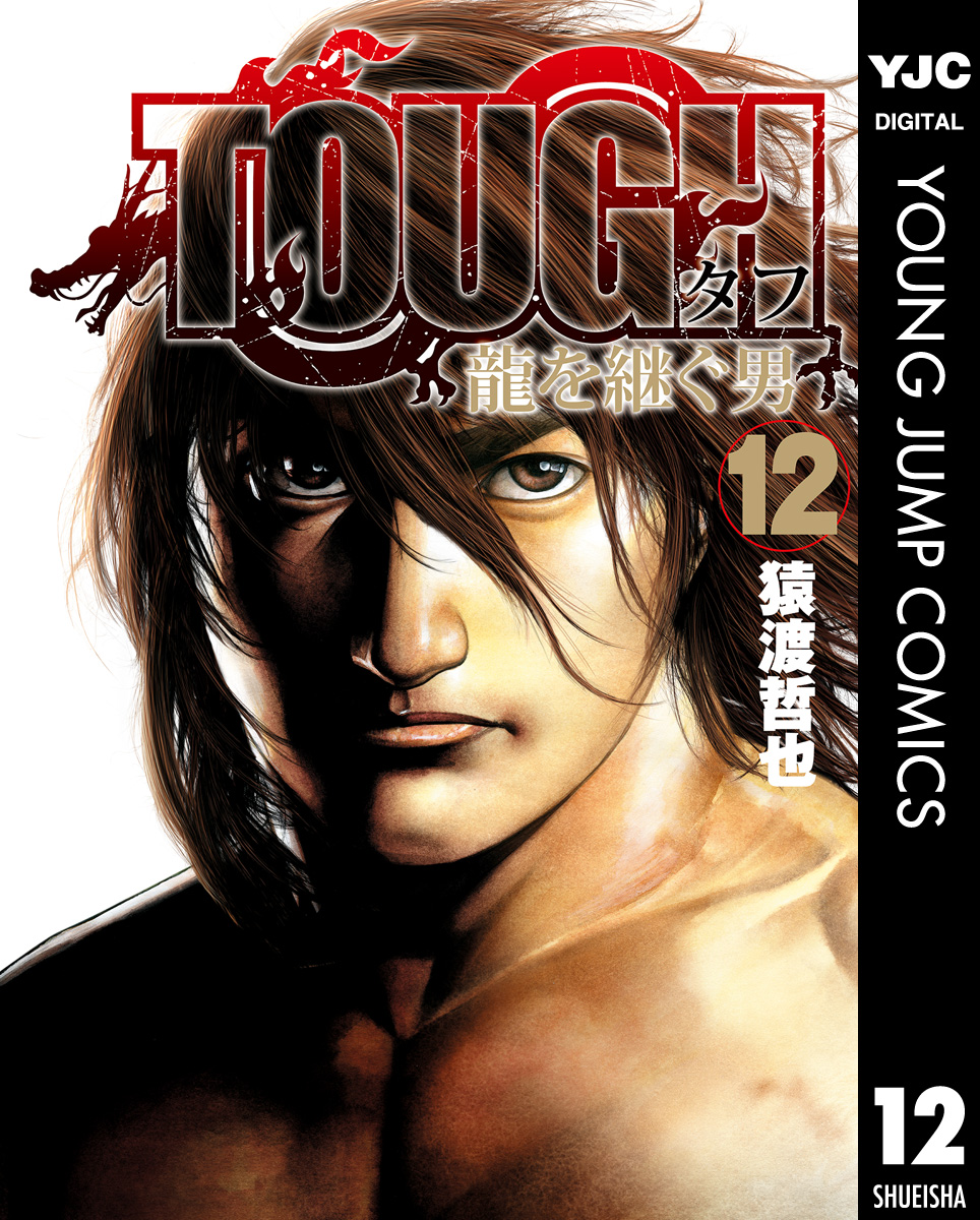 TOUGH 龍を継ぐ男 12 - 猿渡哲也 - 漫画・無料試し読みなら、電子