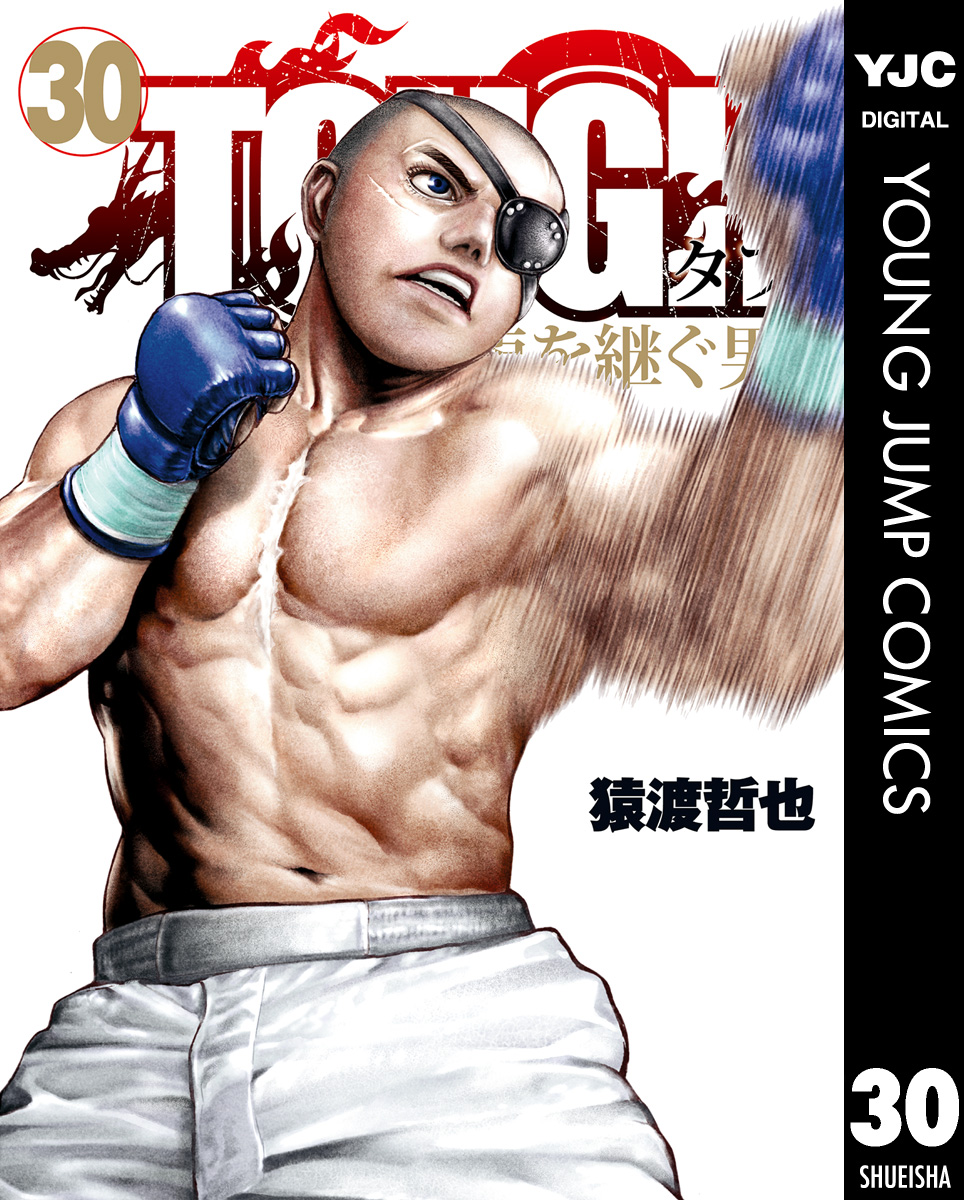 TOUGH 龍を継ぐ男 30（最新刊） - 猿渡哲也 - 漫画・ラノベ（小説