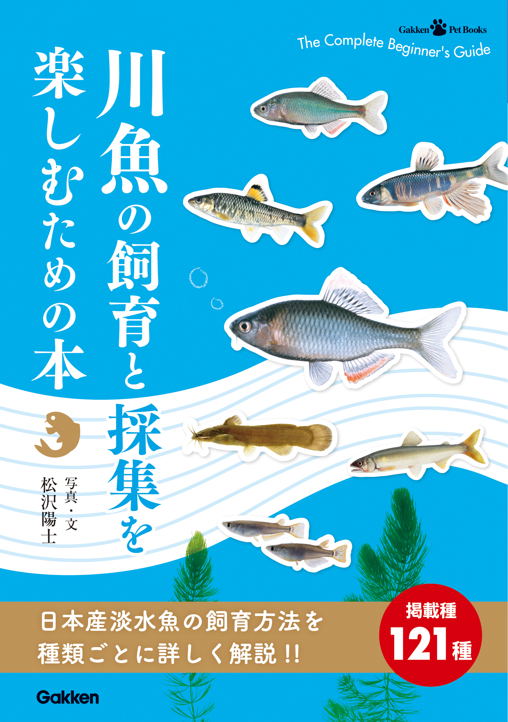 川魚の飼育と採集を楽しむための本 漫画 無料試し読みなら 電子書籍ストア ブックライブ