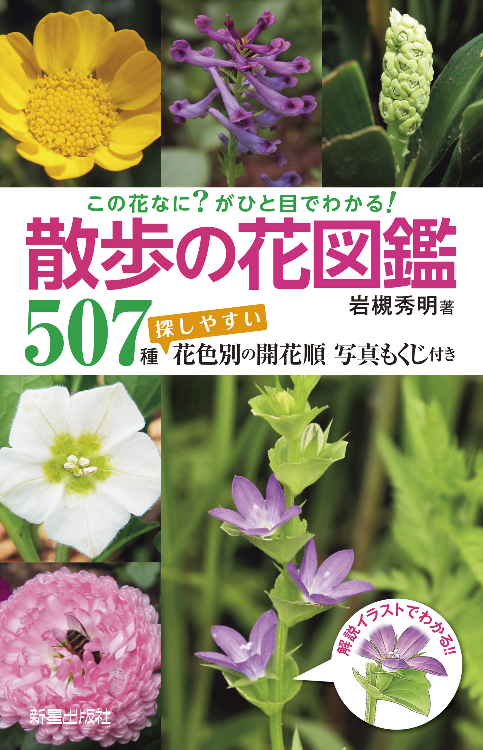 この花なに？がひと目でわかる！ 散歩の花図鑑 - 岩槻秀明 - 漫画