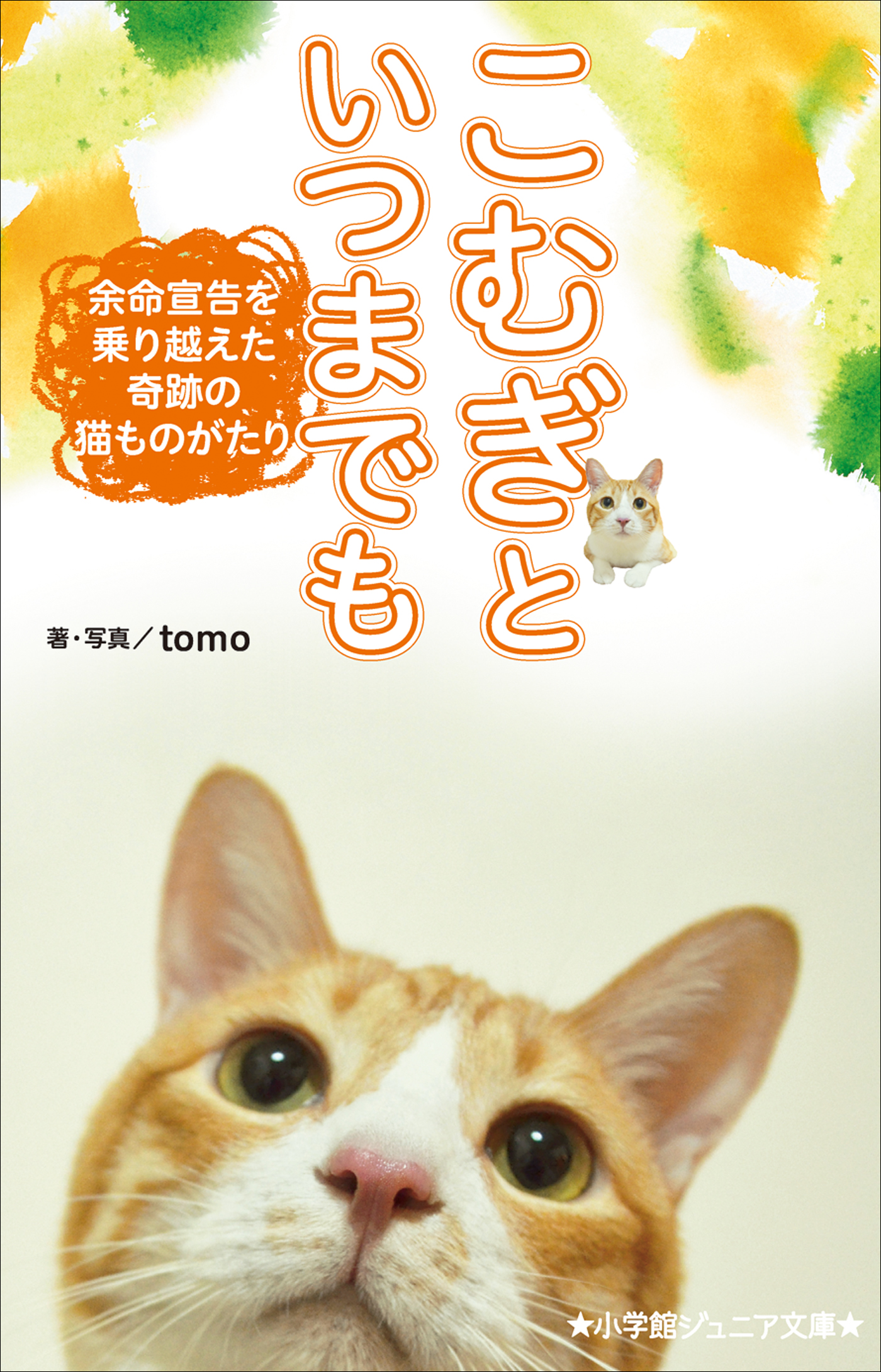 小学館ジュニア文庫 こむぎといつまでも 余命宣告を乗り越えた奇跡の猫ものがたり 漫画 無料試し読みなら 電子書籍ストア ブックライブ