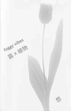 foggy vibes 霧×植物