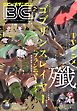 月刊ビッグガンガン 2018 Vol.11