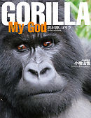GORILLA My God