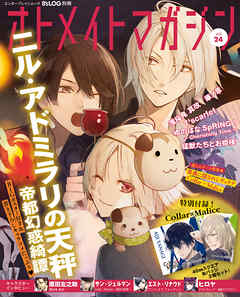 B’s-LOG別冊 オトメイトマガジン vol.24