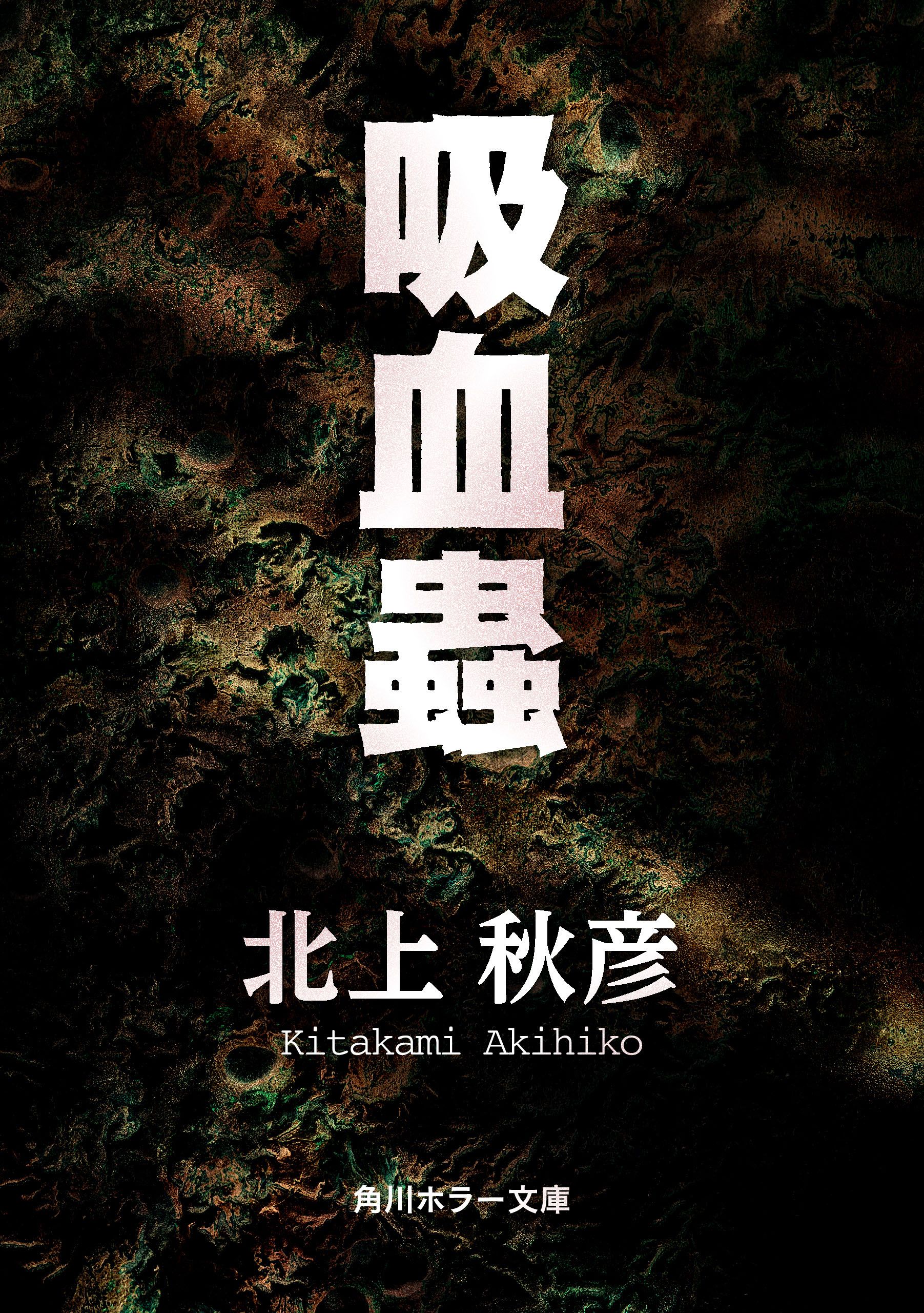 北上秋彦 小説 まとめ [正規販売店] - 文学・小説