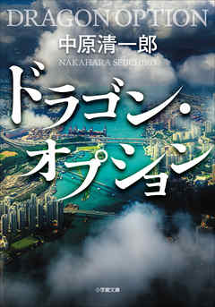 ドラゴン・オプション