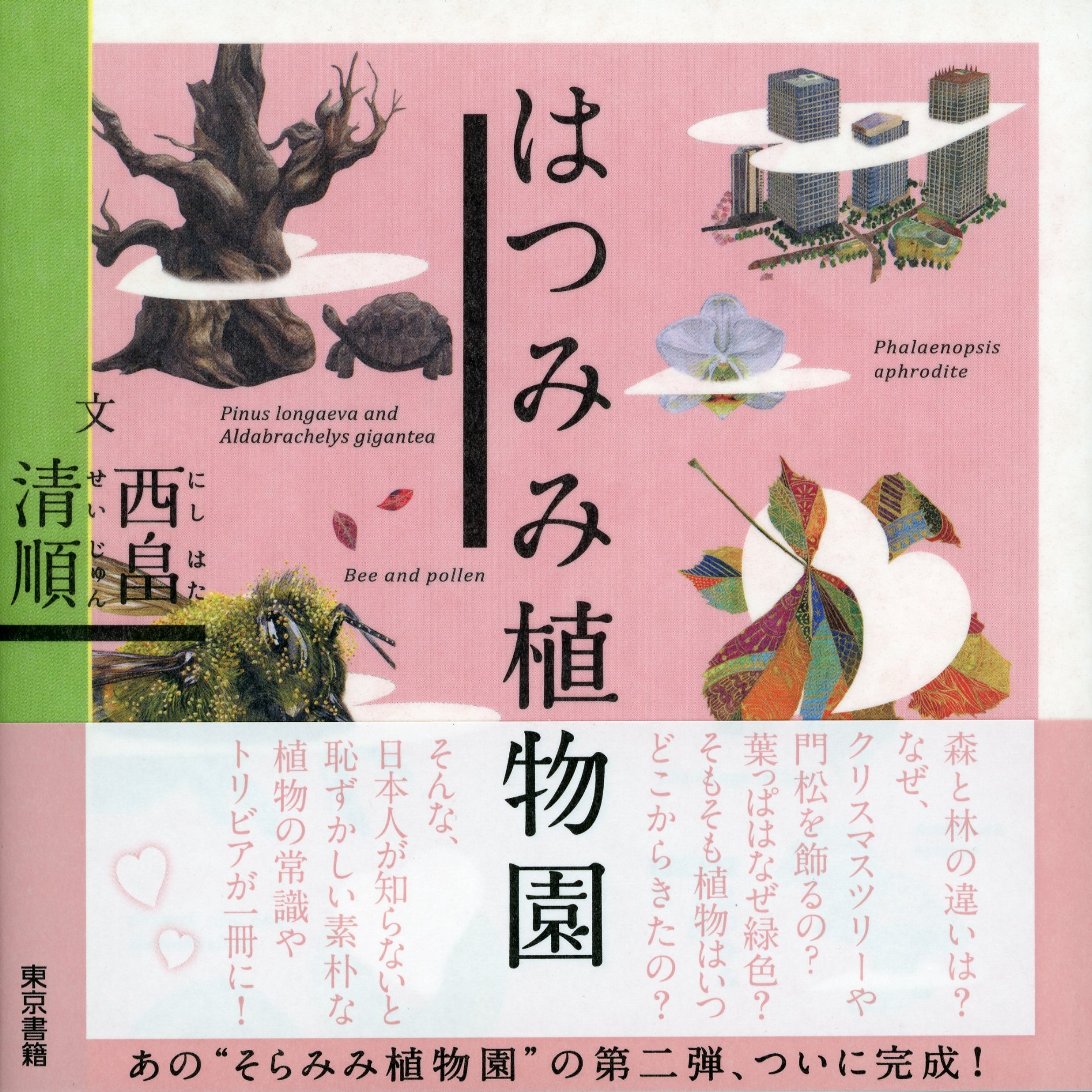 はつみみ植物園 - 西畠清順/はつみみ工房 - 漫画・ラノベ（小説