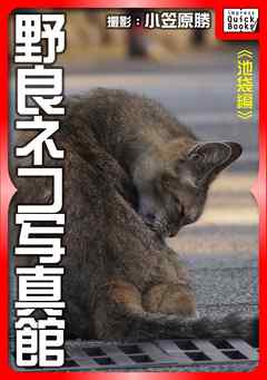 野良ネコ写真館【池袋編】