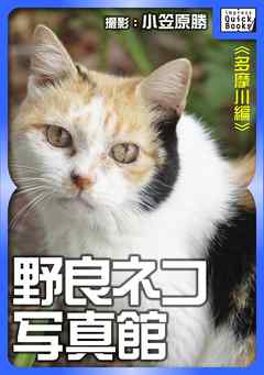 野良ネコ写真館【多摩川編】