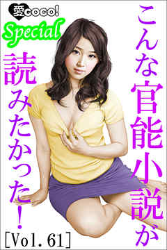 こんな官能小説が読みたかった！vol.61