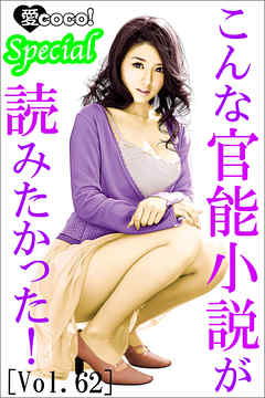 こんな官能小説が読みたかった！vol.62