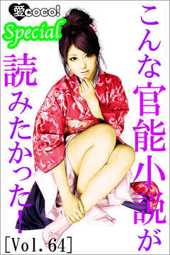 こんな官能小説が読みたかった！vol.64