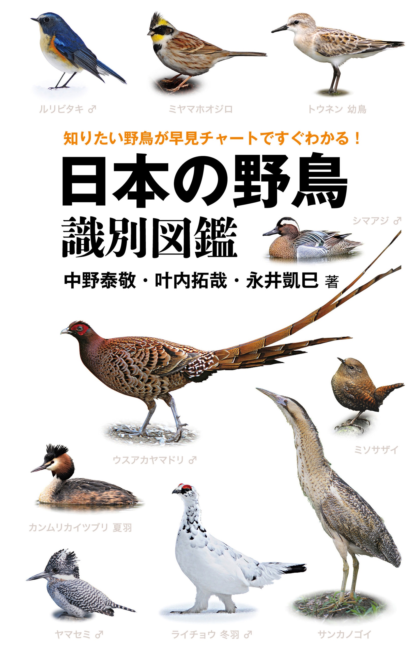 新版 日本の野鳥 (山溪ハンディ図鑑) - 入れ歯容器、入れ歯ケース