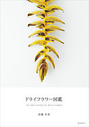 ドライフラワー図鑑